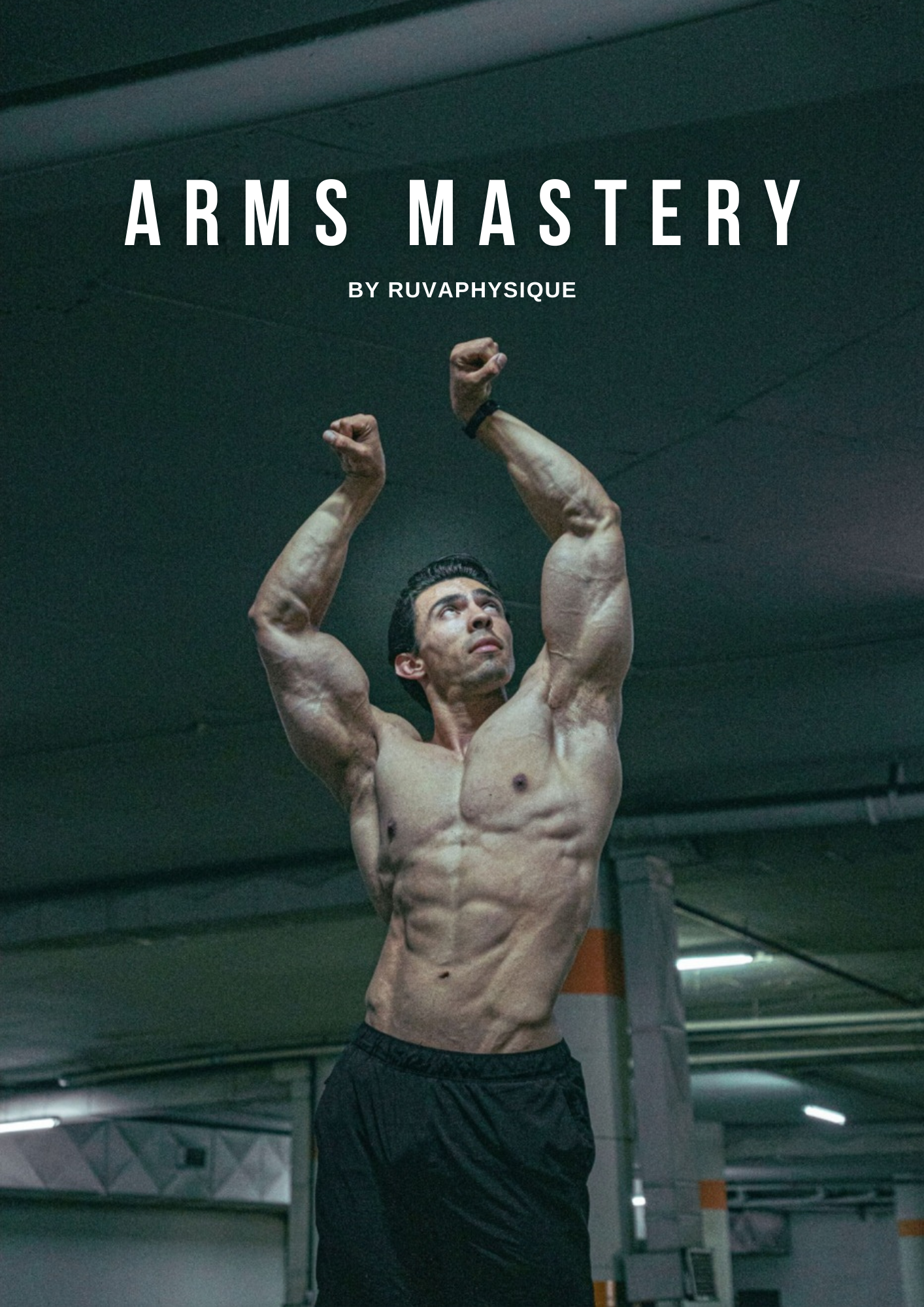 ARMS MASTERY - PROGRAMA DE 12 SEMANAS PARA DESARROLLO DE BRAZOS