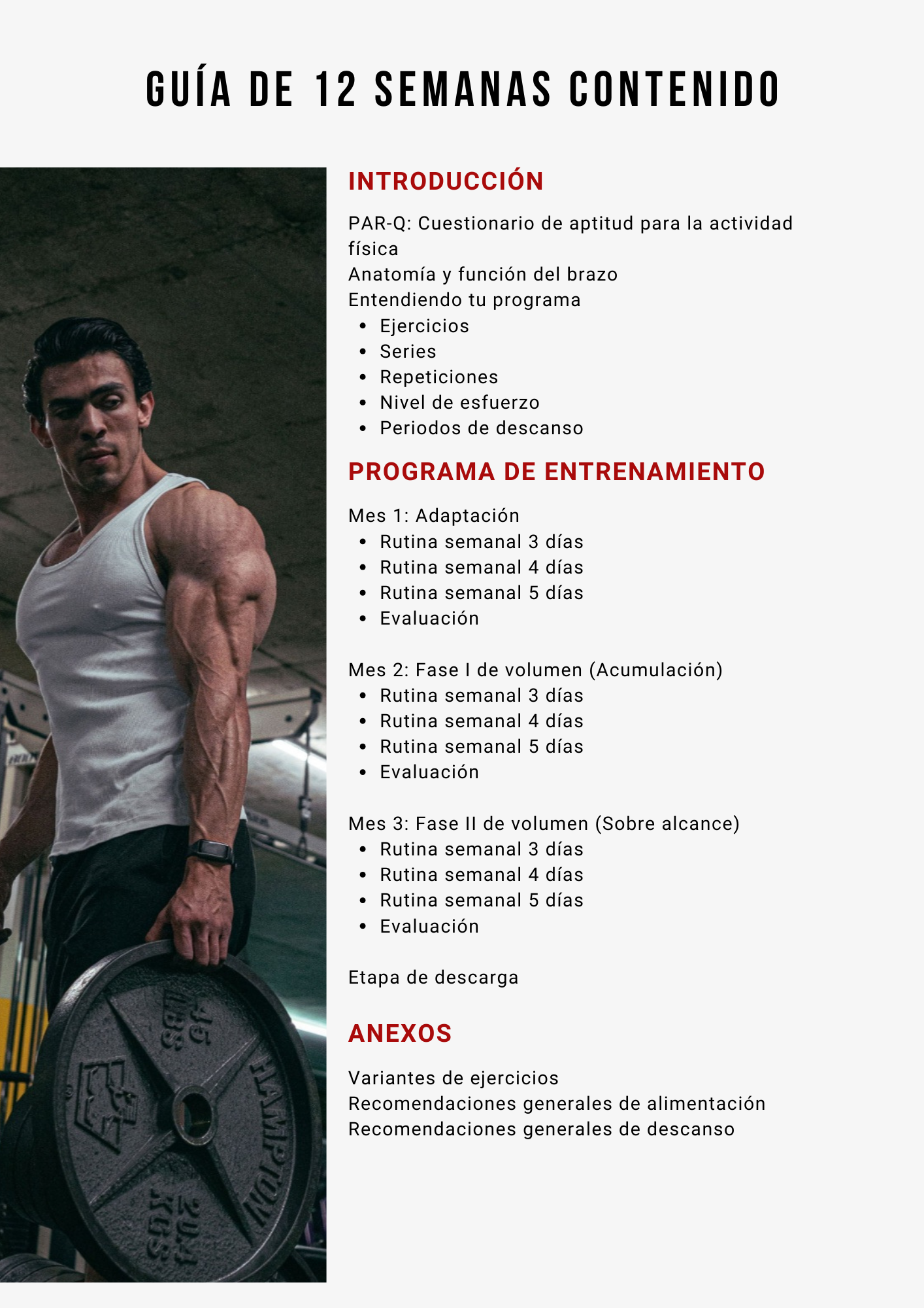 ARMS MASTERY - PROGRAMA DE 12 SEMANAS PARA DESARROLLO DE BRAZOS