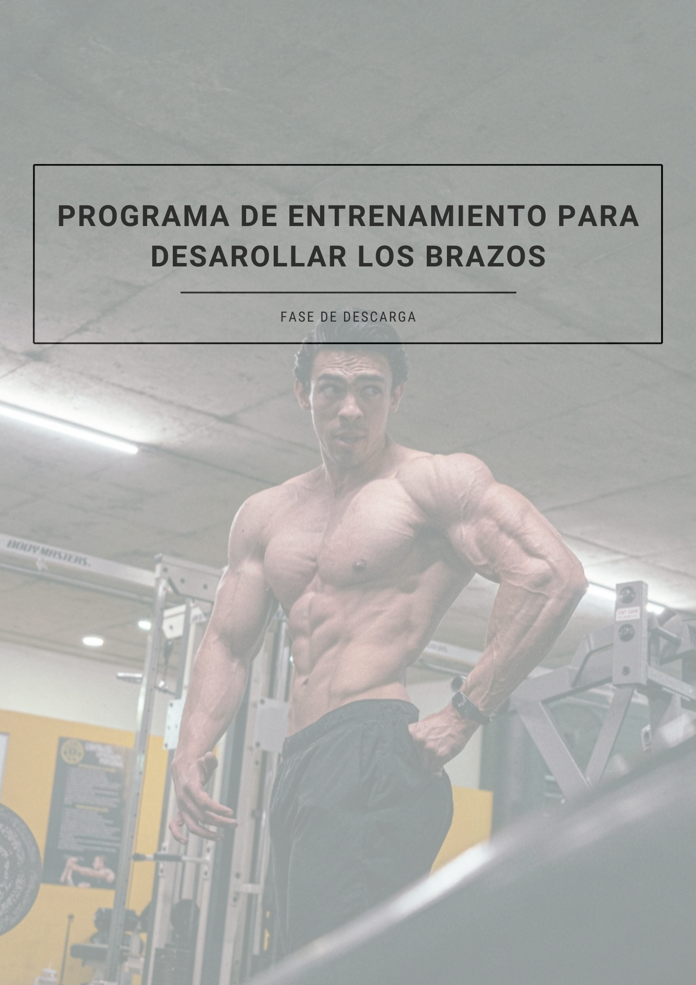 ARMS MASTERY - PROGRAMA DE 12 SEMANAS PARA DESARROLLO DE BRAZOS