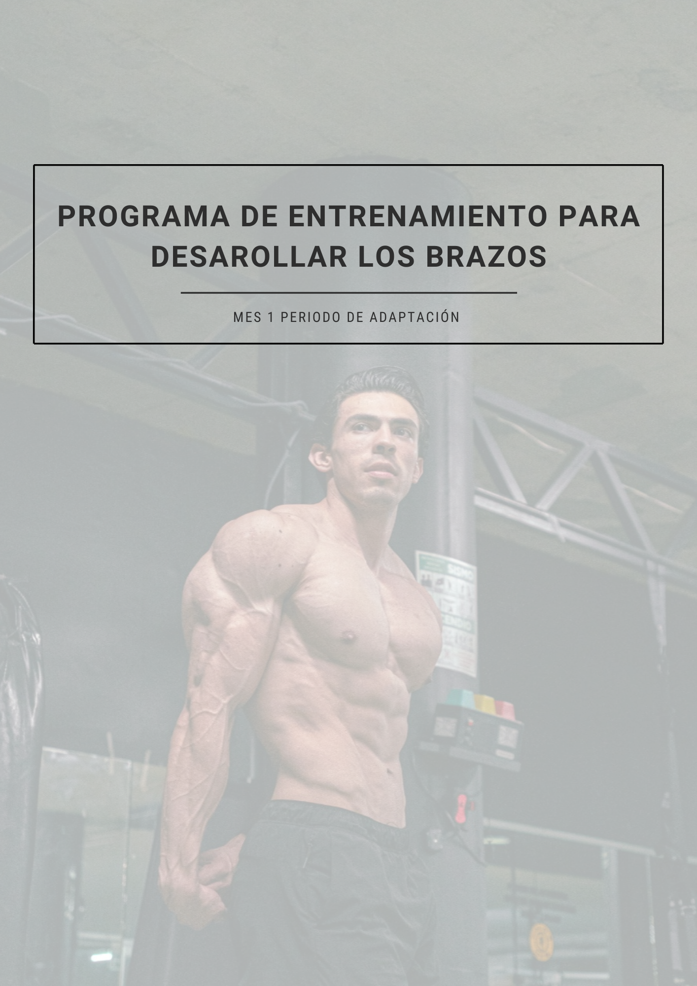 ARMS MASTERY - PROGRAMA DE 12 SEMANAS PARA DESARROLLO DE BRAZOS